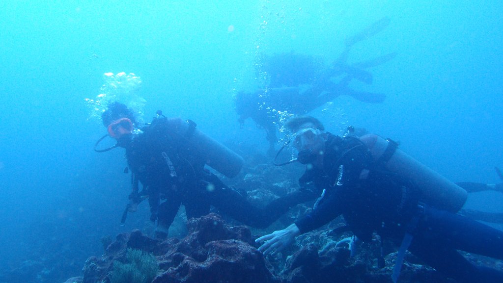 diving in the galapagos